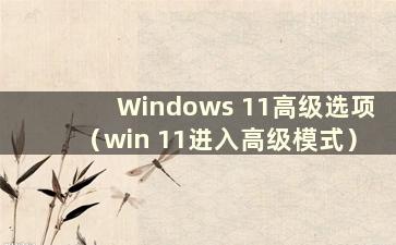 Windows 11高级选项（win 11进入高级模式）